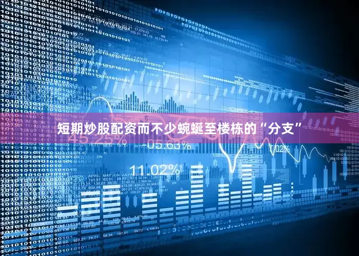 短期炒股配资而不少蜿蜒至楼栋的“分支”