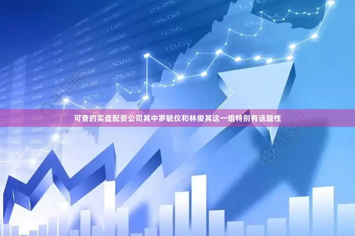 可查的实盘配资公司其中罗毓仪和林俊其这一组特别有话题性