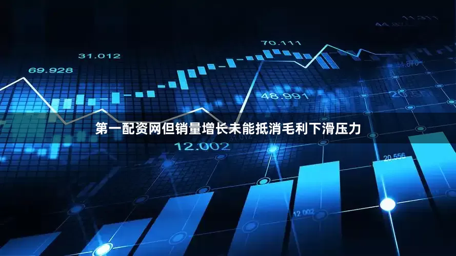 第一配资网但销量增长未能抵消毛利下滑压力