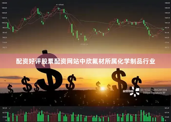 配资好评股票配资网站中欣氟材所属化学制品行业