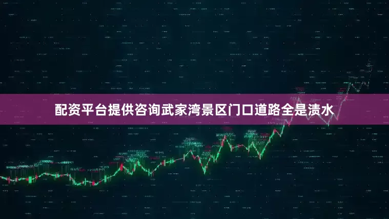 配资平台提供咨询武家湾景区门口道路全是渍水