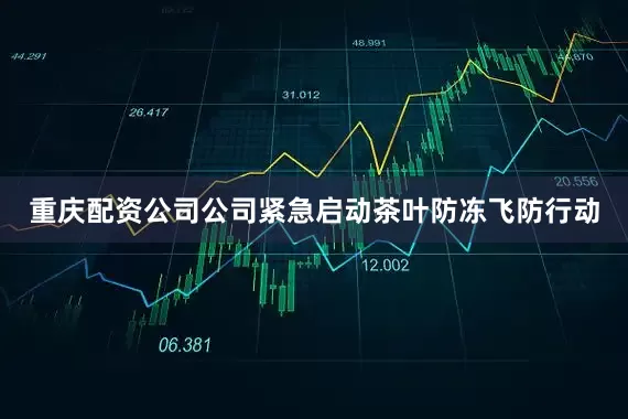 重庆配资公司公司紧急启动茶叶防冻飞防行动